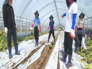 농어업위, 집중호우 피해농가 복구지원 일손돕기 썸네일