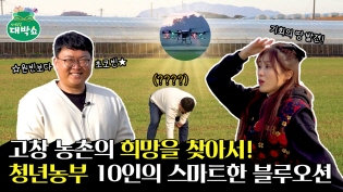 이 보리는 커서 초콜릿이 된다!? 10인의 청년농부가 만든 NEW 영농모델 이미지